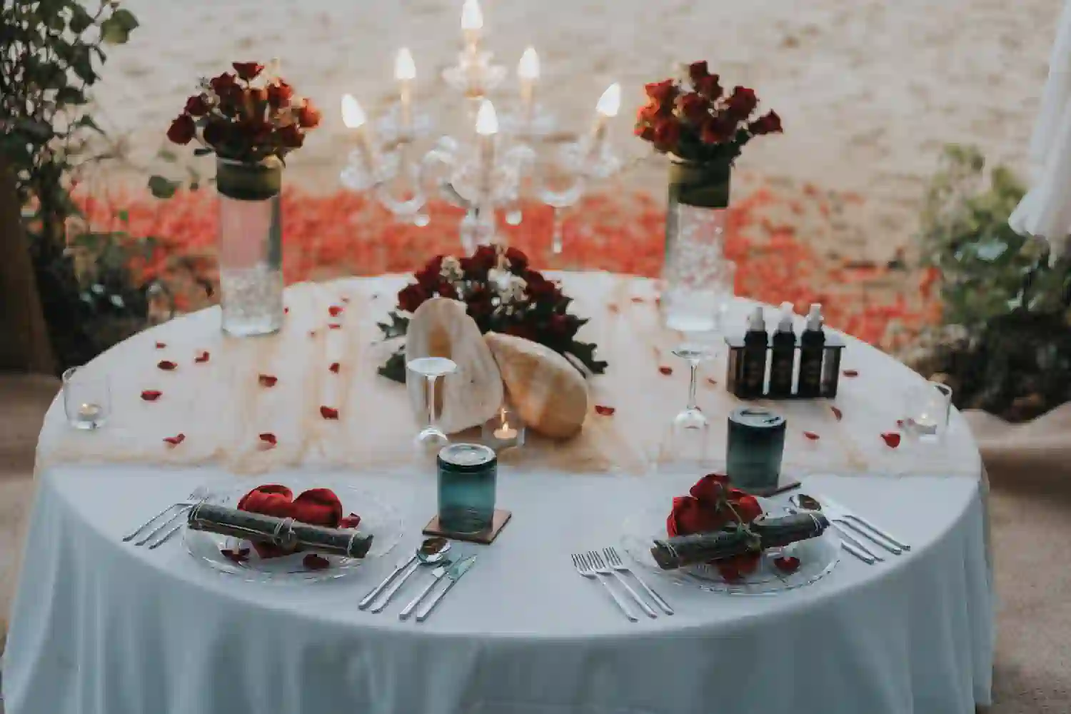 Rani & sam wedding 6aa