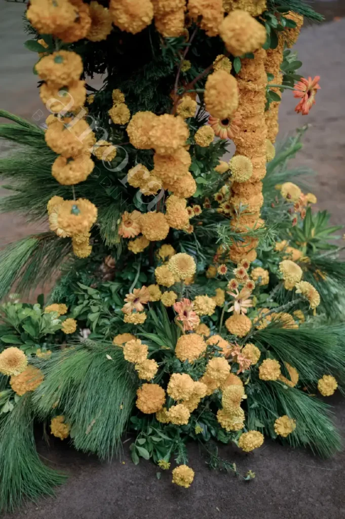 Image 2025 11 09T193350.304