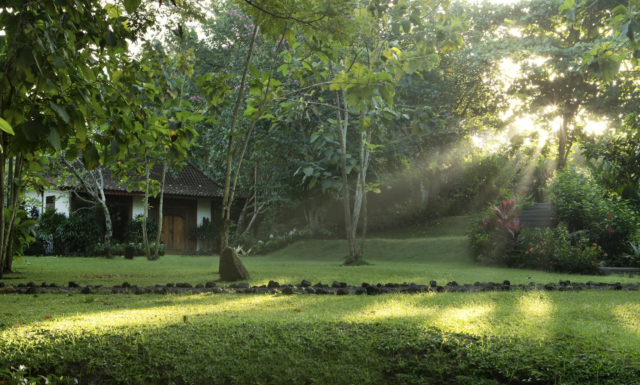 Elopement jungle wedding in canggu